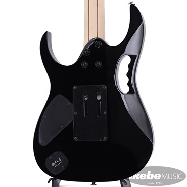 Ibanez JEM77P-BFP [Steve Vai Signature Model] 画像6