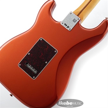 Fender MEX Player Plus Stratocaster (Aged Candy Apple Red /Pau Ferro) 画像7