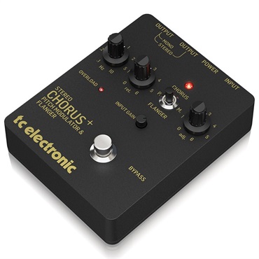 tc electronic SCF GOLD 画像2
