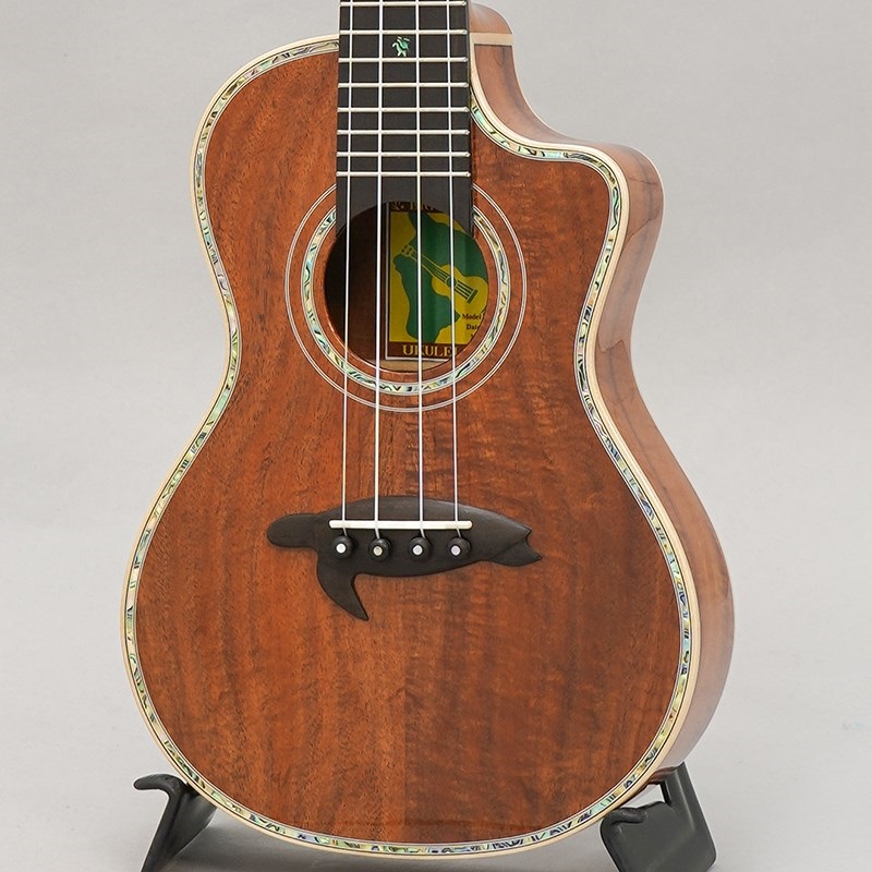 BIG ISLAND KSX-CTG ビッグアイランド 画像2