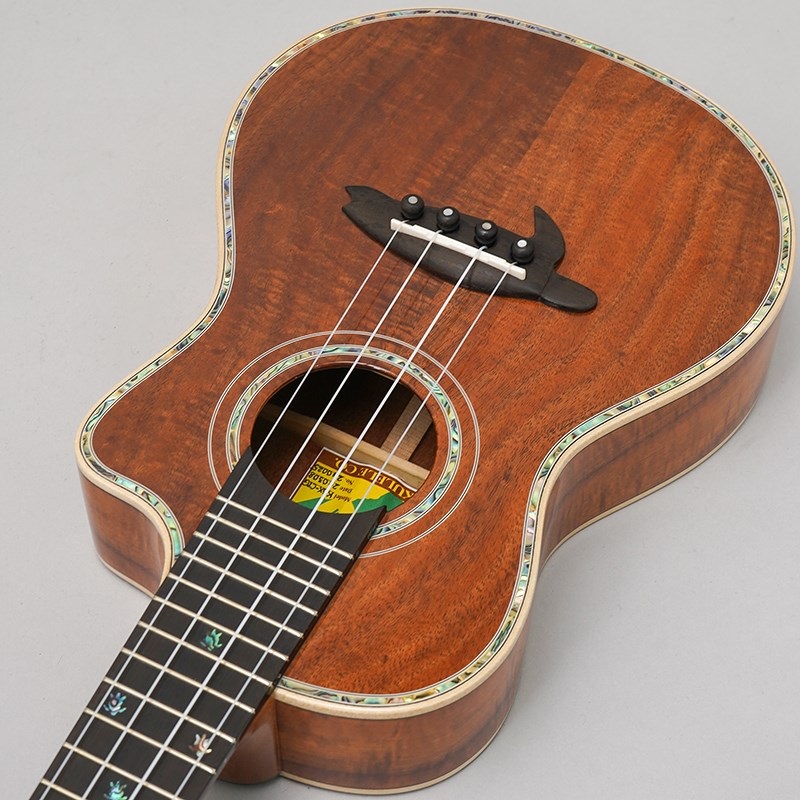 BIG ISLAND KSX-CTG ビッグアイランド |イケベ楽器店オンライン BIG ISLAND KSX-CTG ビッグアイランド |イケベ楽器店オンライン
