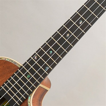 BIG ISLAND KSX-CTG ビッグアイランド 画像8