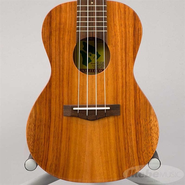 BIG ISLAND KT-CTS ビッグアイランド 画像3