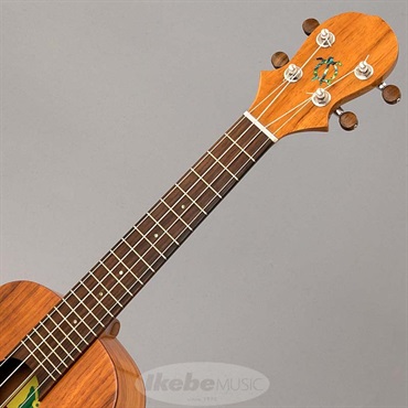 BIG ISLAND KT-CTS ビッグアイランド 画像6