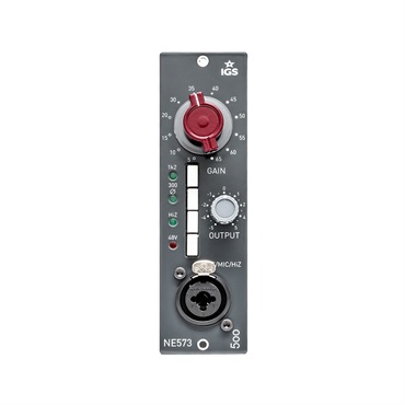 IGS Audio NE573【取り寄せ商品】 画像2