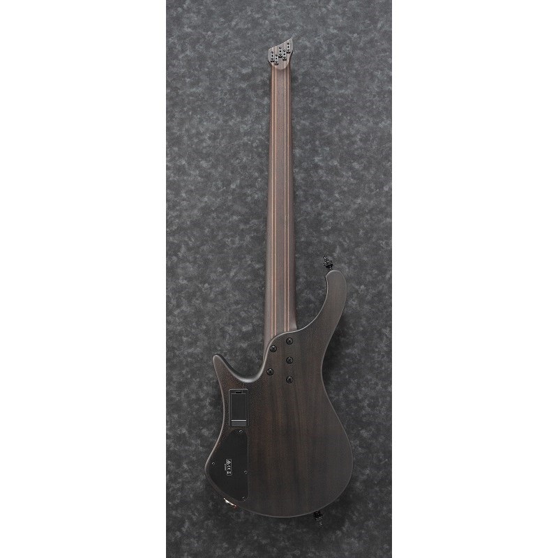 Ibanez Bass Workshop EHB1505MS-BIF  [SPOT MODEL] 画像1