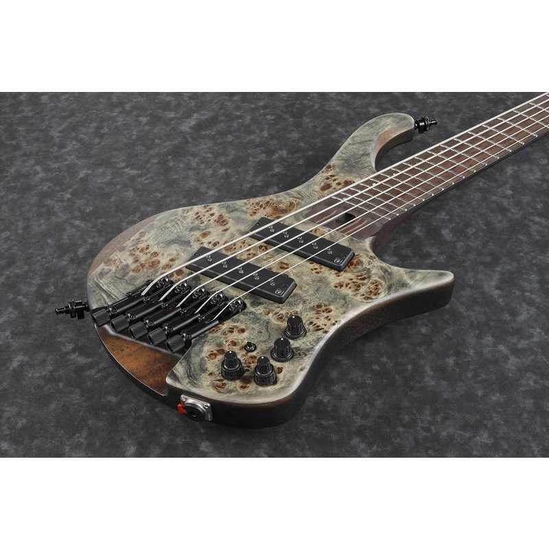 Ibanez Bass Workshop EHB1505MS-BIF  [SPOT MODEL] 画像3