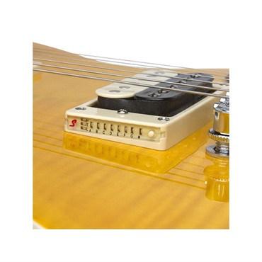 Epiphone Slash Appetite Les Paul Special-II ｜イケベ楽器店