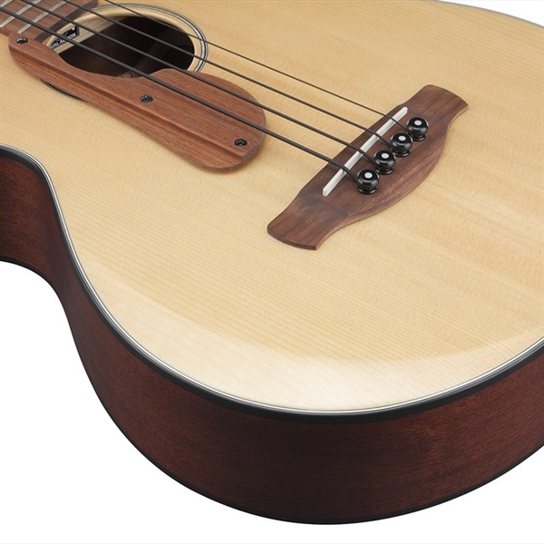 Ibanez AEGB30E-NTG 画像2