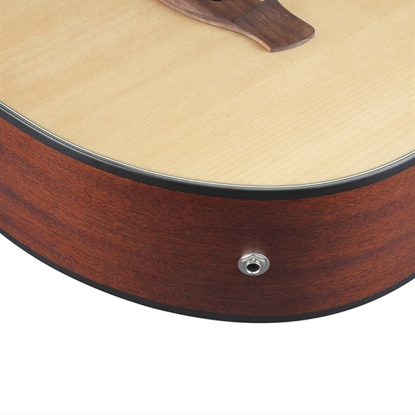 Ibanez AEGB30E-NTG 画像3