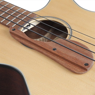 Ibanez AEGB30E-NTG 画像4