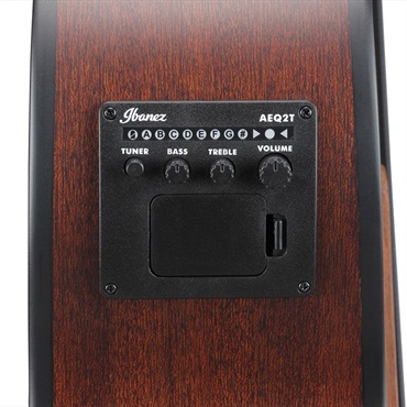 Ibanez AEGB30E-NTG 画像5