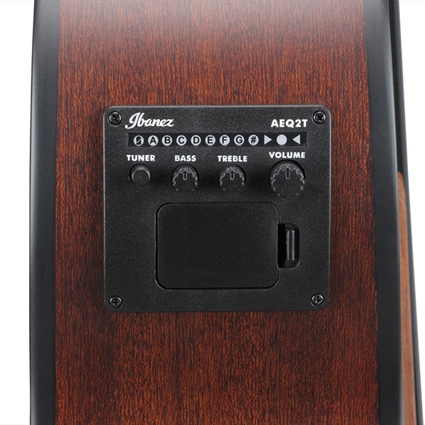 Ibanez AEGB30E-NTG 画像5