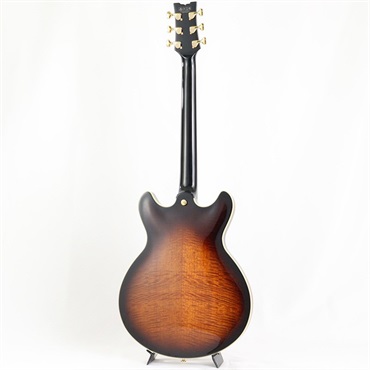 Ibanez JSM100-VT [John Scofield Signature Model] 画像2