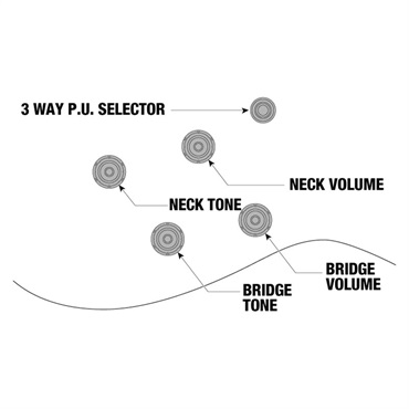 Ibanez JSM100-VT [John Scofield Signature Model] 画像9