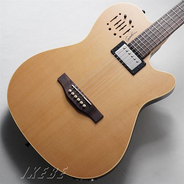 Godin A6 Ultra Natural(SG) 画像2