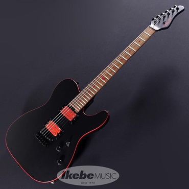 SCHECTER Progauge Artist Model Series PA-SM/SH (Mat Black) [SiM SHOW HATEmodel] 画像1