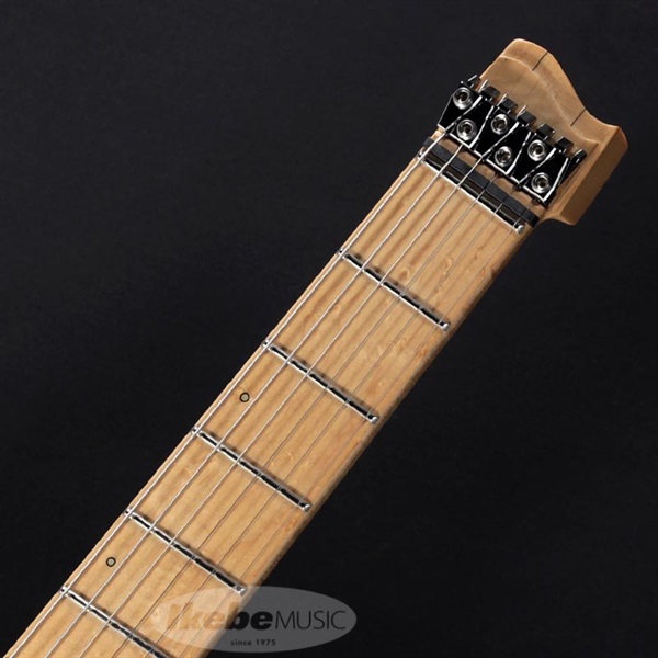 Strandberg Salen Classic NX 6 (Butter Scotch Blonde) 画像4