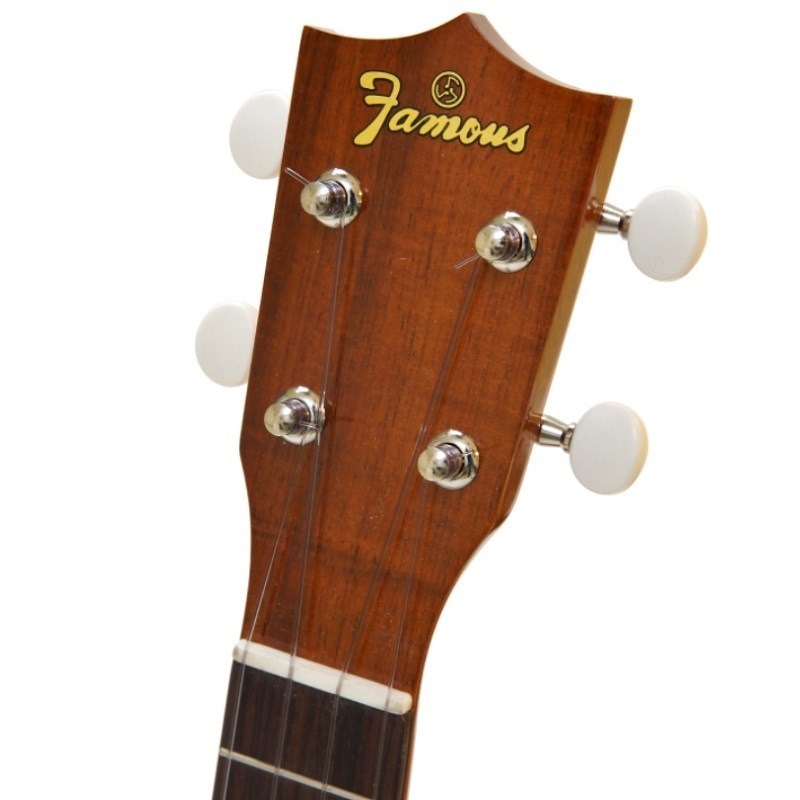 Famous FS-5G 【初心者セット】 フェイマス 画像3