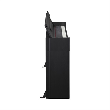 YAMAHA YDP-S55 B(ブラックウッド調仕上げ)ARIUS(アリウス)(お取り寄せ商品)(代引不可)(全国基本配送設置料込み、階段上げ・特殊作業・一部地域別途お見積り) 画像3