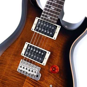 P.R.S. SE Custom 24 (Black Gold Burst) 画像3