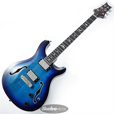 P.R.S. SE Hollowbody Standard (Dog Hair Smokeburst) ｜イケベ