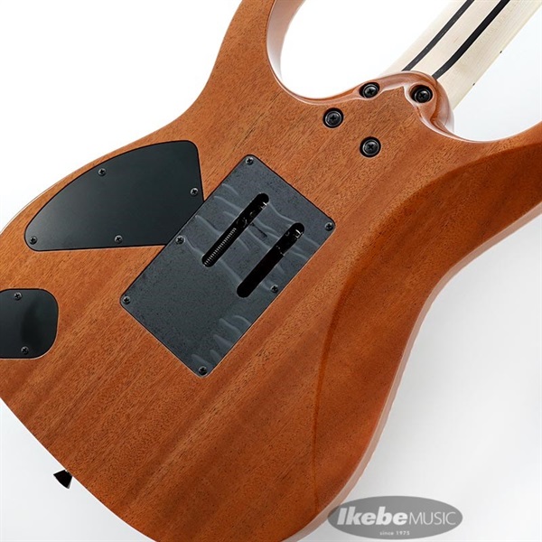 Ibanez j-Custom RG8570CST-NT #2212586 画像7
