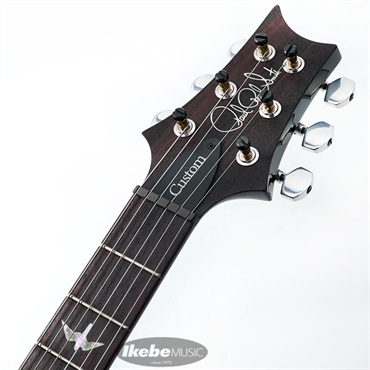P.R.S. 2024 Custom 24 Piezo 10 Top (Faded Whale Blue