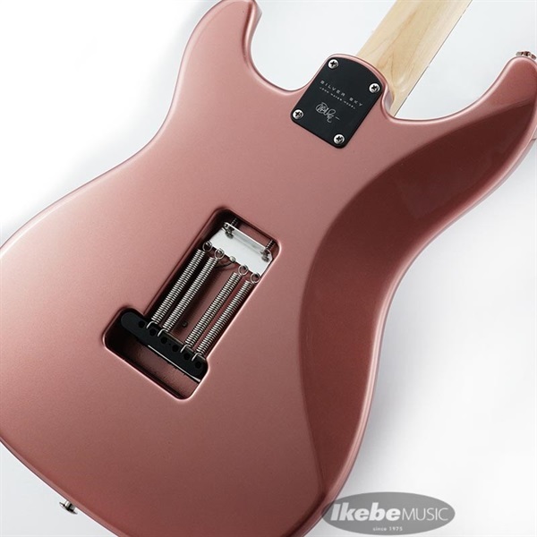 P.R.S. Silver Sky Midnight Rose / Rosewood John Mayer Signatur Model 画像7