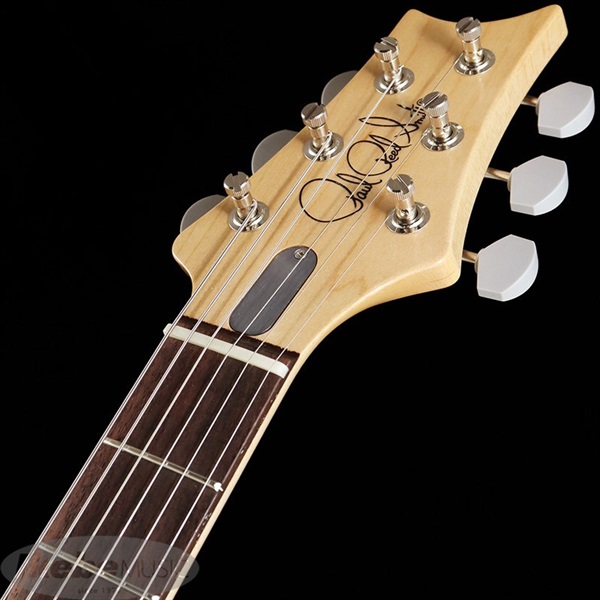 P.R.S. Silver Sky (Polar Blue) [John Mayer Signature Model