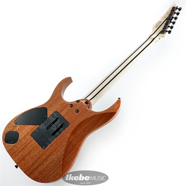 Ibanez j-Custom RG8570CST-NT #F2212756 画像2