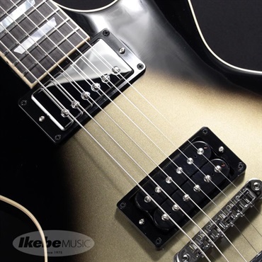Gibson Adam Jones Les Paul Standard (Antique Silverburst) 画像3