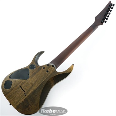 ★綺麗な杢目★Ibanez RGD7521PB-DSF 7弦ギター RGD7521PB | RGD | ELECTRIC GUITARS | PRODUCTS | Ibanez guitars