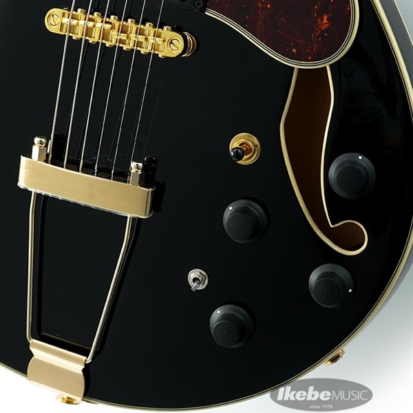 Ibanez Artcore Expressionist AMH90-BK 画像4