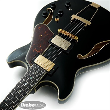 Ibanez Artcore Expressionist AMH90-BK 画像5