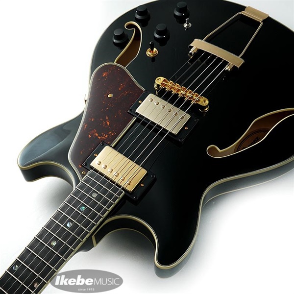 Ibanez Artcore Expressionist AMH90-BK ｜イケベ楽器店