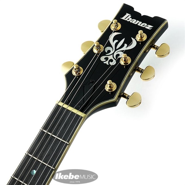 Ibanez Artcore Expressionist AMH90-BK ｜イケベ楽器店