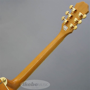 Epiphone 【数量限定エピフォン・アクセサリーパック・プレゼント】J