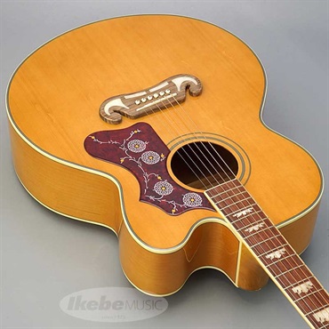 Epiphone 【数量限定エピフォン・アクセサリーパック