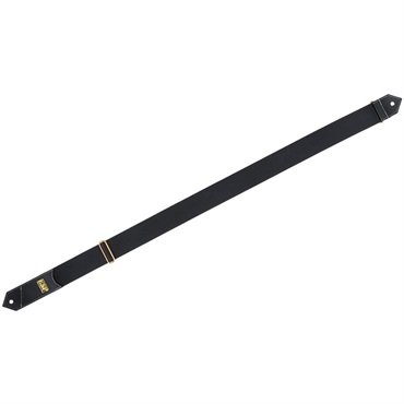 ESP ES-S-AR01-L 画像1