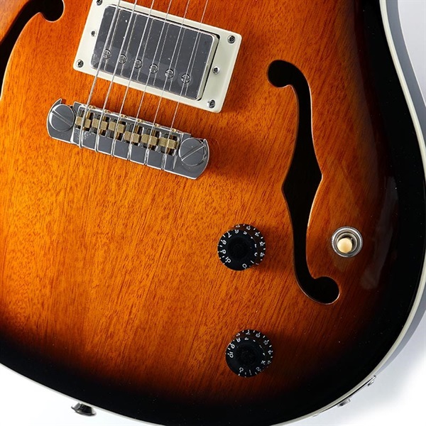 PRS SE Hollowbody Standard - McCarty Sunburst – FRET12