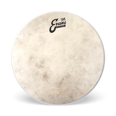 EVANS CalfTone Snare Tune Up Kit - CalfTone + Snareside300 + Concert Snarewire [ESTUK-14C7-1] 画像1