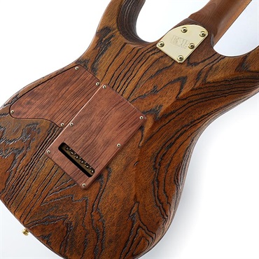 【希少】ESP SNAPPER-AS Experimental Series ESP Experimental Series 始動。第一弾はSNAPPER-AS。 | ESP GUITARS