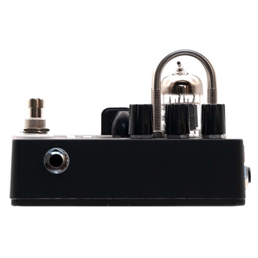 Beyond Beyond Acoustic Wired 2S 画像2