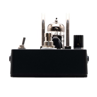 Beyond Beyond Acoustic Wired 2S 画像4