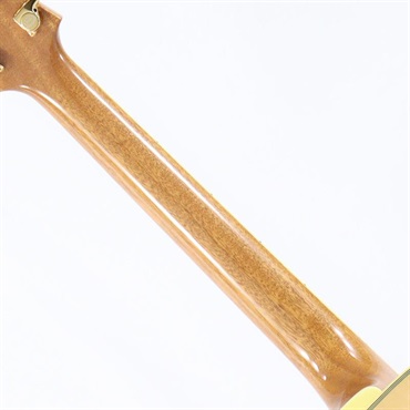 Ibanez PM200-NT (Natural) [Pat Metheny Model] 画像7