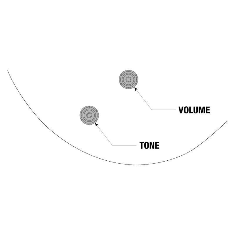 Ibanez PM200-NT (Natural) [Pat Metheny Model] 画像10