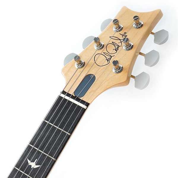P.R.S. Silver Sky Roxy Pink / Rosewood John Mayer Signatur Model 画像8