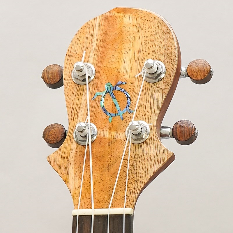 BIG ISLAND MP-SLS ビッグアイランド 画像10