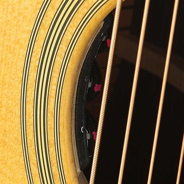 MARTIN D-28 Standard w/Carlos VIP DM マーチン マーティン